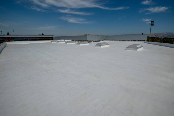 Best Roof Coating and Sealing  in Rose Hill, VA